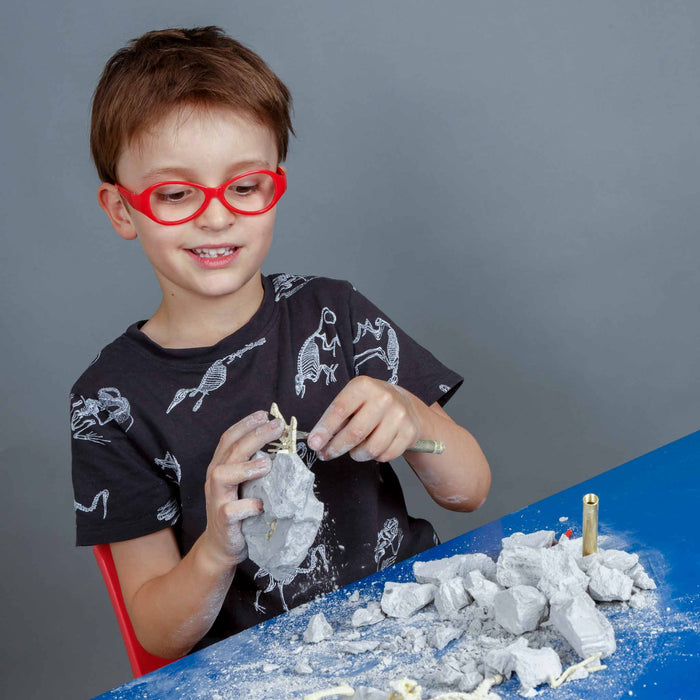 Palaeontology Kit | Triceratops