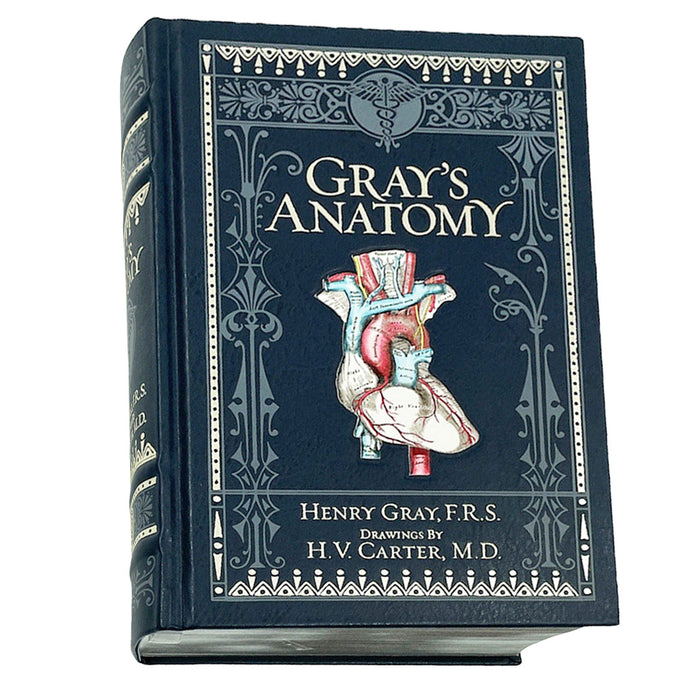 Barnes and Noble | Grays Anatomy | Henry Gray P.R.S
